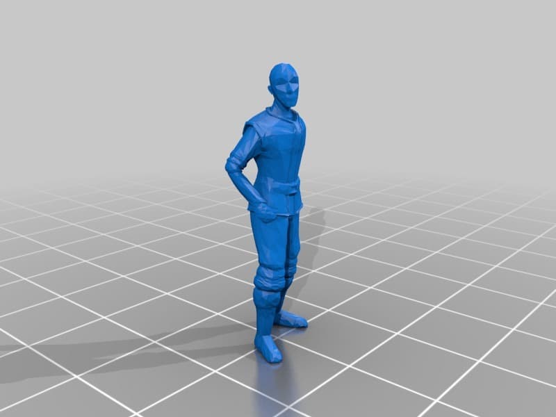 Psion / Monk D&D Miniature