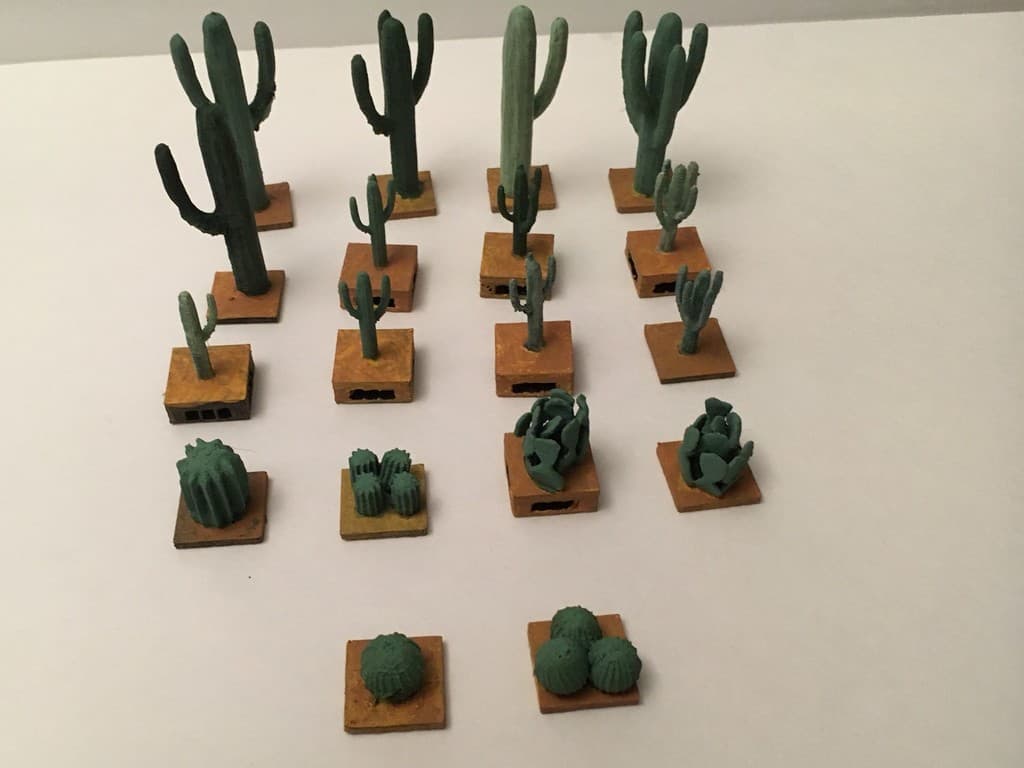 Miniature Cacti Various Families Openlock