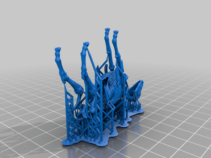 Skeleton Collection!