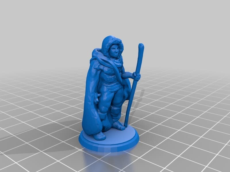 Cloaked Wanderer - Winter Version