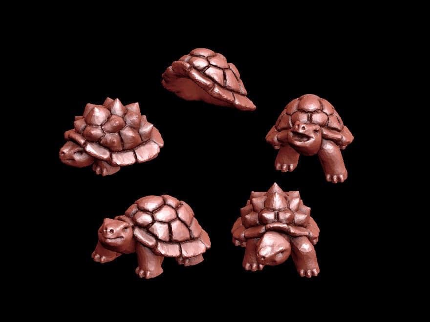 Tortoises