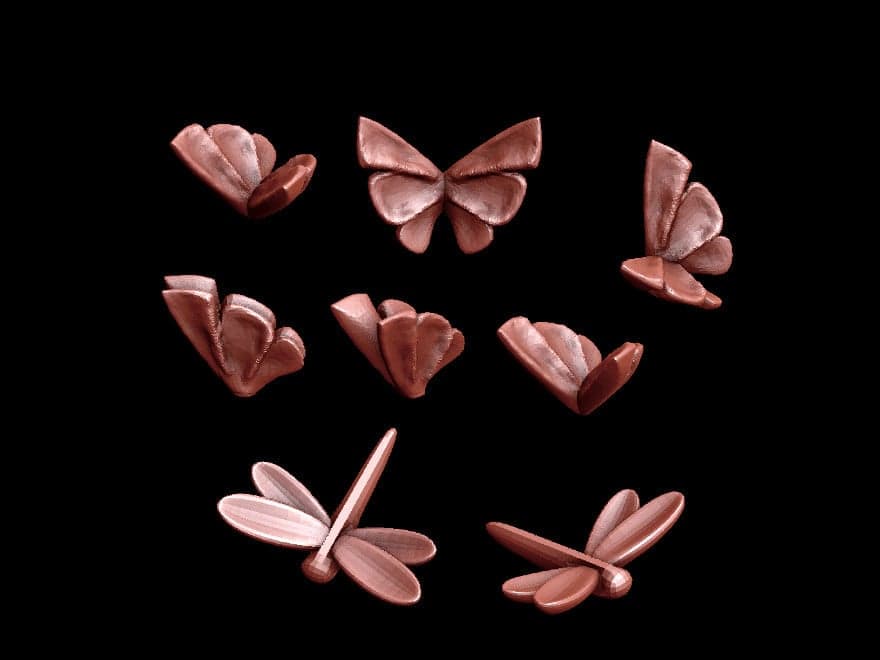 Butterflies Dragonflies