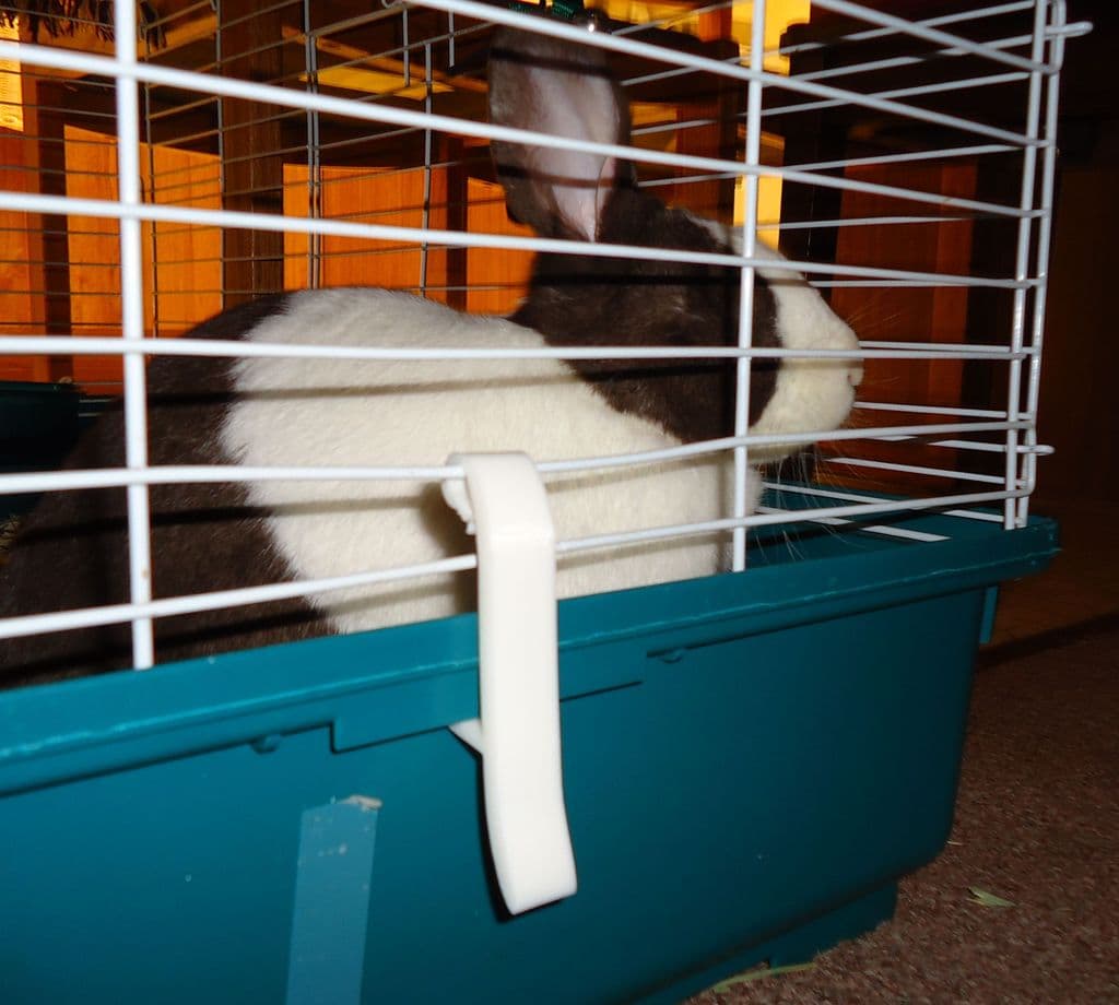 Clip for small pet cage